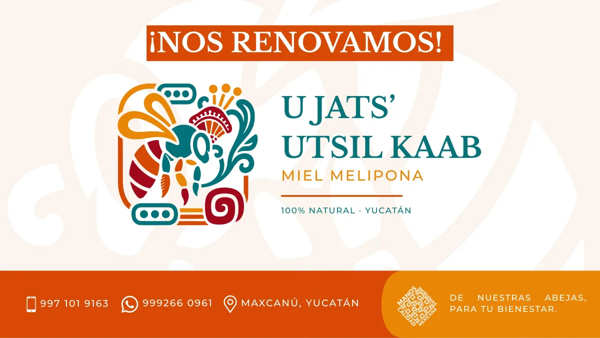 Foto de portada de Meliponario U Jats’ Utsil Kaab